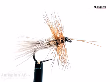 Goddard Caddis #14