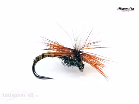 Klinkhammer Olive Biot #14