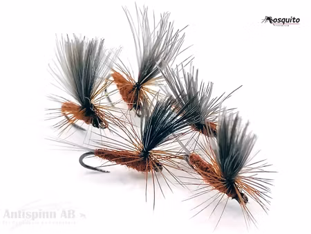 Vespertina Brown #16