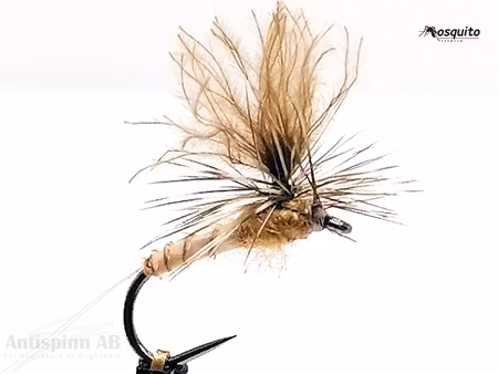 Biot Dun Aurivilli #14