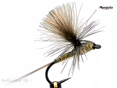 Dagslända Dun Olive