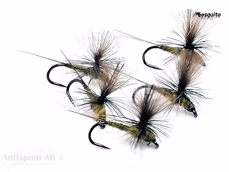 Dagslända Dun Golden Olive