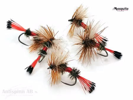 Royal Wulff Variant #14