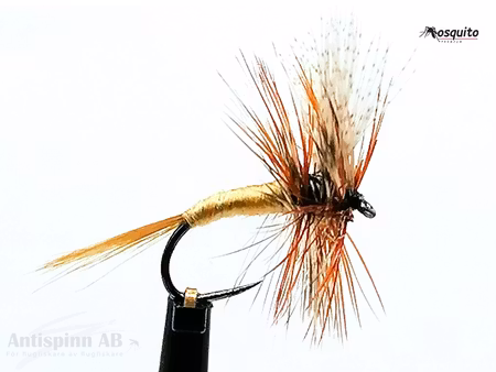 American March Brown #14