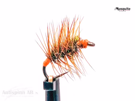 Orange Griffith’s Gnat Variant # 18