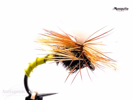 Klinkhammer Golden Olive Biot #14