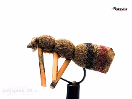 Brown Foam Ant #14
