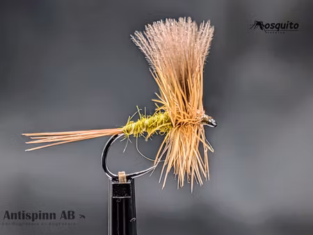 Catskill Olive Dun CDC Wings #16