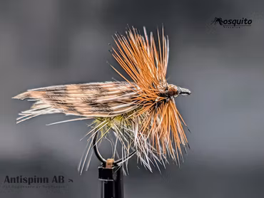 Henryville Special BL # 14