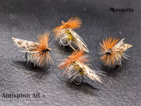 Henryville Special BL # 14