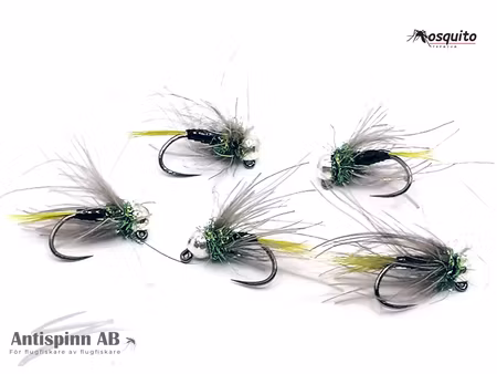 Golden Olive Quill Pupa Tungstenshuvud