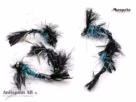 Black and Blue Nymph #16