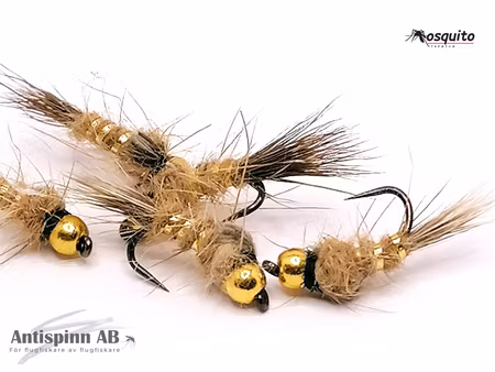 Guldribbat Haröra BH