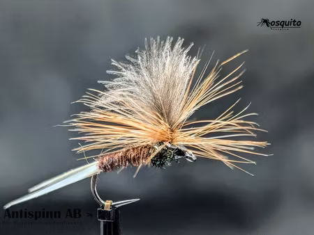 Mayfly Brown#12