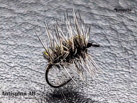 Griffith’s Gnat #16