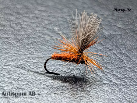 Vespertina Brown #16