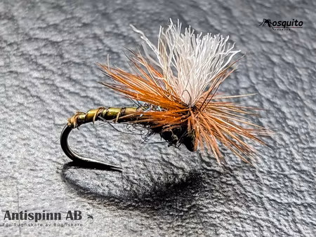 Klinkhammer Olive Biot #14