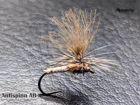 Biot Dun Aurivilli #14