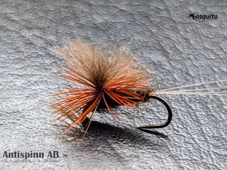 Mörk Brun Dagslända  #14