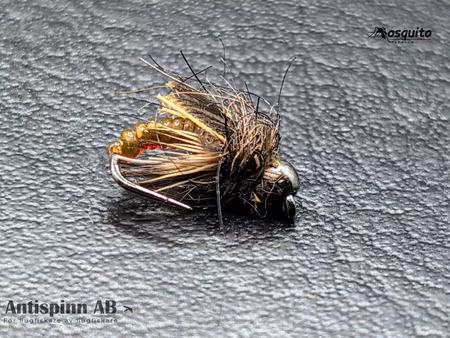 Caddies Pupa Brown BH  #14