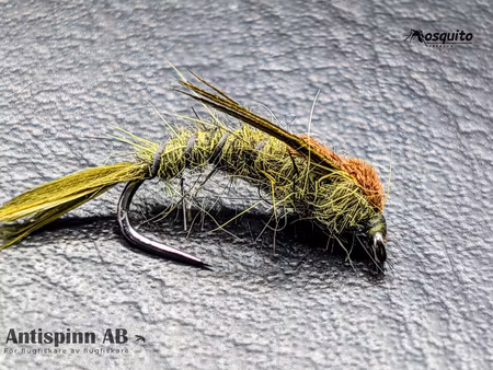 Bäckslända Dark Olive #12