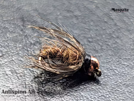 Buggy Pupa Brown BH #14