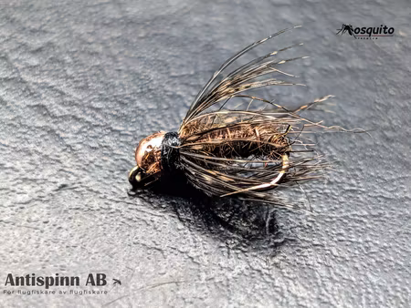 Buggy Pupa Brown BH #14