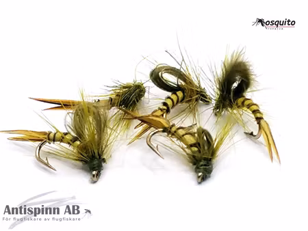 Kläckare Light Olive