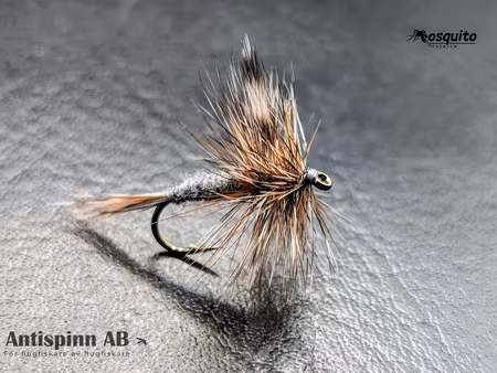 Adams storlek 12  Niklas Dahlin