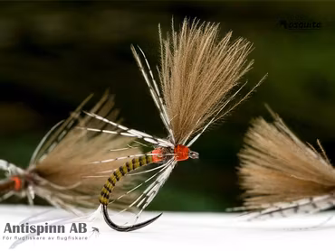 Tactical E2 CDC Emerger #16