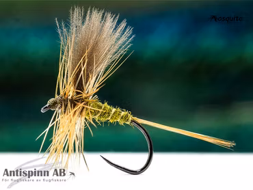 Catskill Olive Dun CDC Wings #16