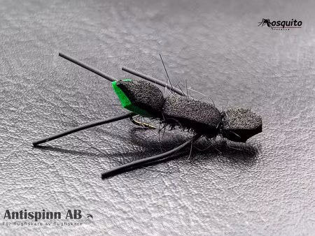 Foam Ismo Black/ Fluo Green