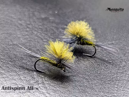 Mayfly Olive CDC #14