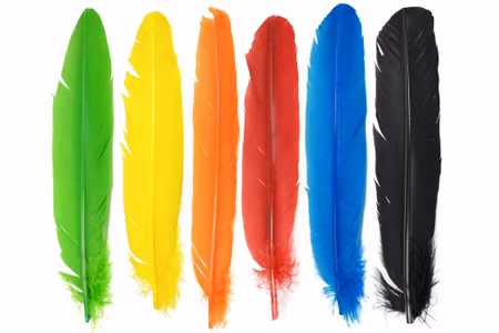 Turkey Broad Wing Quill Veniard