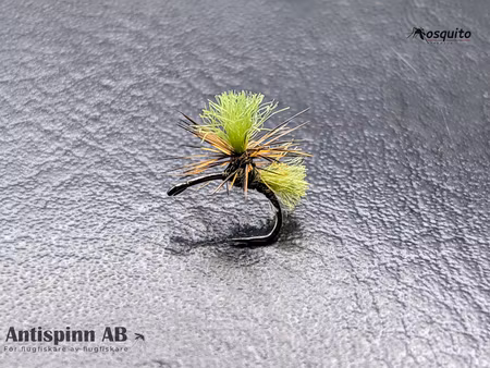 Dynamit Harry Olive #16