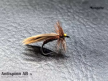 Europa 12 Rusty Brown