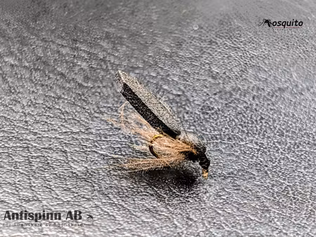 Black Beadle CDC #16