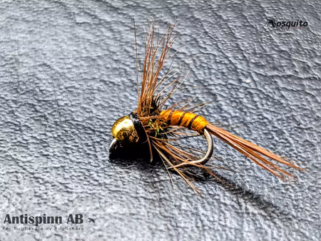 BH-Rinned-Orange-Nymph #14