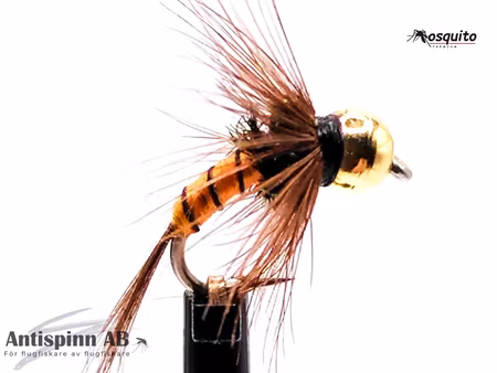 BH-Rinned-Orange-Nymph #14