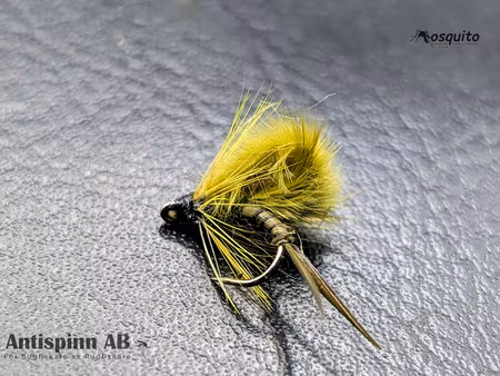 Kläckare Dark Olive #14