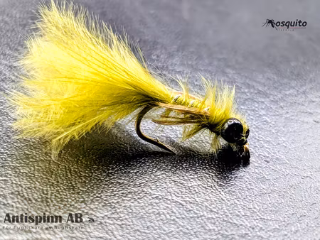 Olive nymf Dumbbell #14