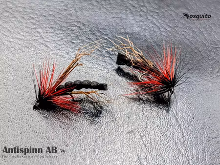 Daddy Long Leg Black #14