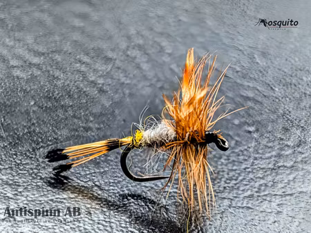 Royal Adams Female #14