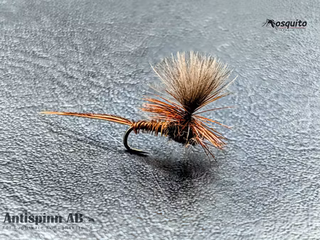 Dagslända Heptagenia