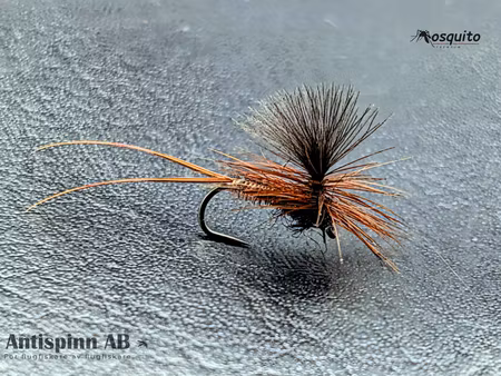 Dagslända Heptagenia