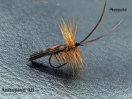 Brown Horned Roof Wing #14