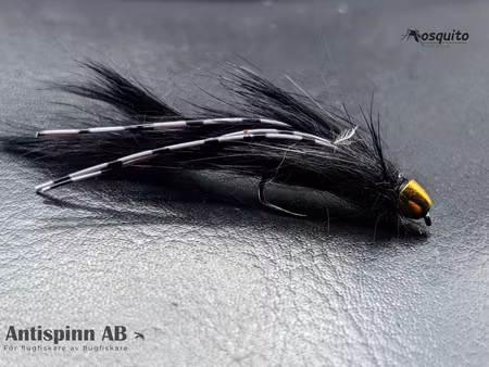 Black Zonker Conehead BL #8