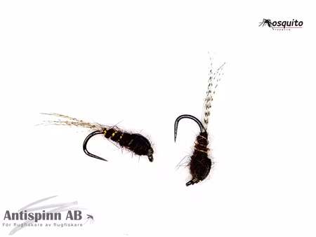 Nymf Forsslända #14