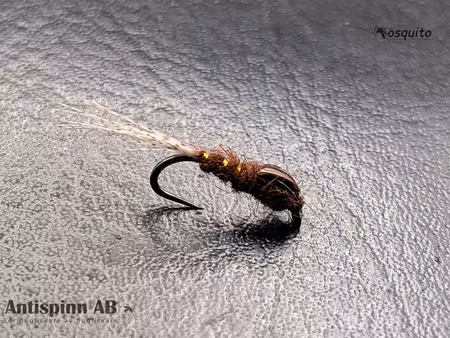 Nymf Forsslända #14