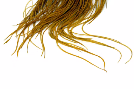 Whiting Bronze 1/2 Saddle White dyed Golden Olive